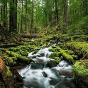 Meet your Posher, Kae